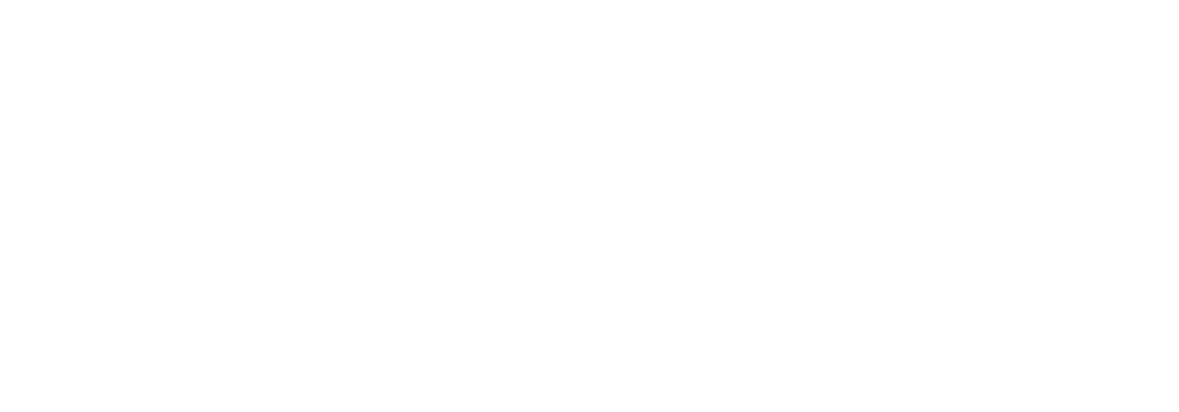 Wicher Logo Dark